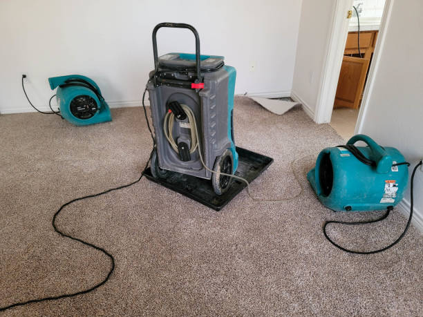 Best Flood damage cleanup  in Red Wing, MN