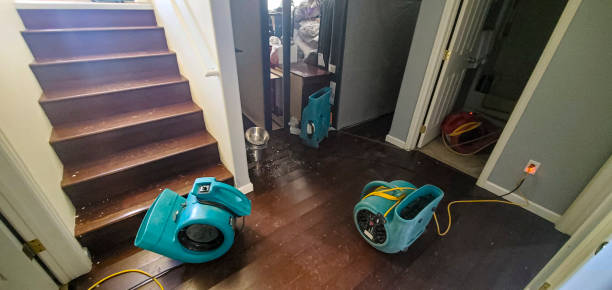 Best Local water damage restoration  in Red Wing, MN