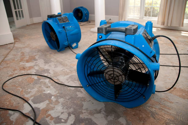 Best Emergency water damage restoration  in Red Wing, MN