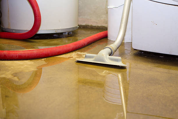 Best Professional water damage repair  in Red Wing, MN