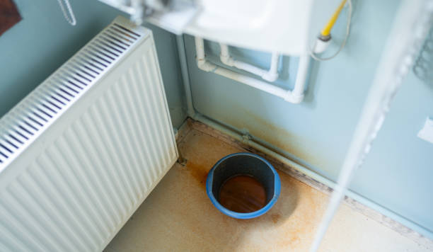 Best Carpet water damage restoration  in Red Wing, MN