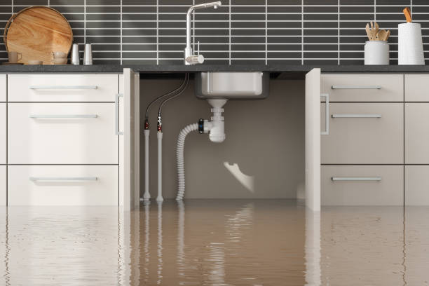 Best Fire Damage Restoration  in Red Wing, MN